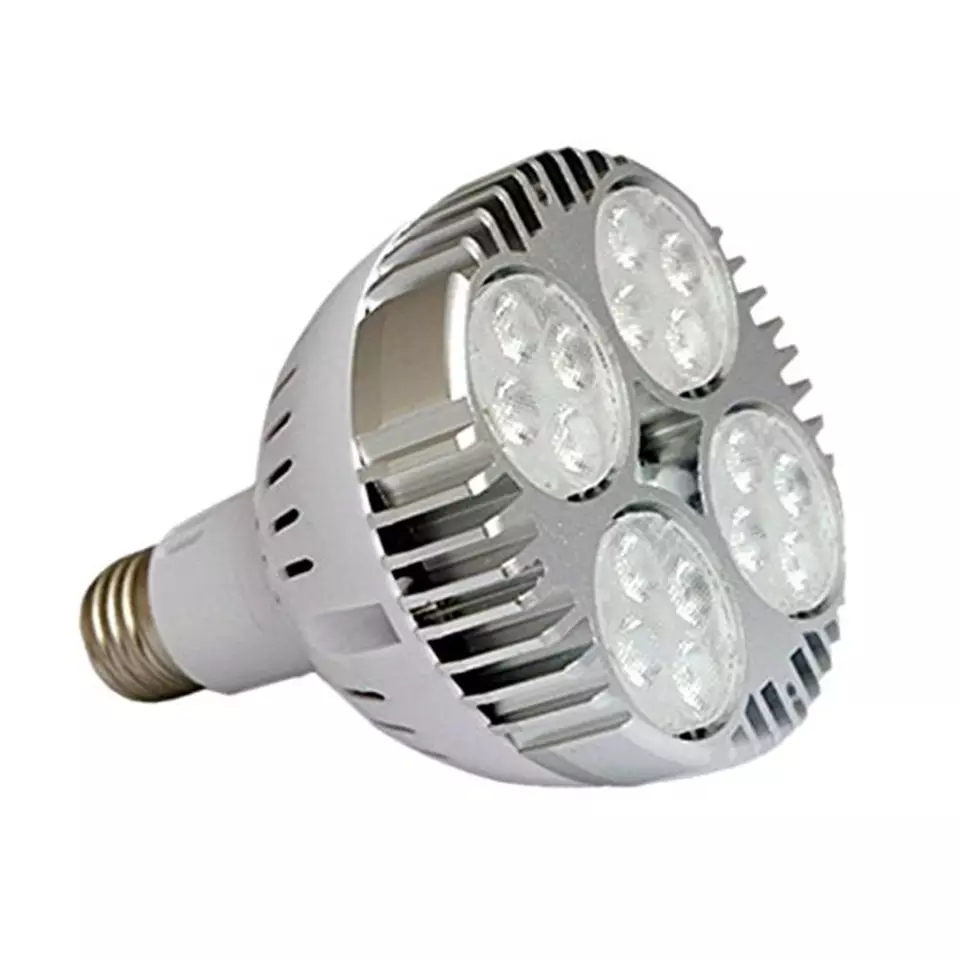 FOCO PAR 30 45W 3000K
